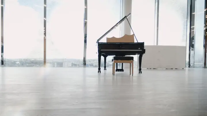 LE_steinway-homage-concert-halls-limited-editions.mov thumbnail